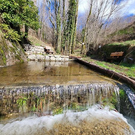 Bed and Breakfast La Bouletiere Dourbies Exterior foto